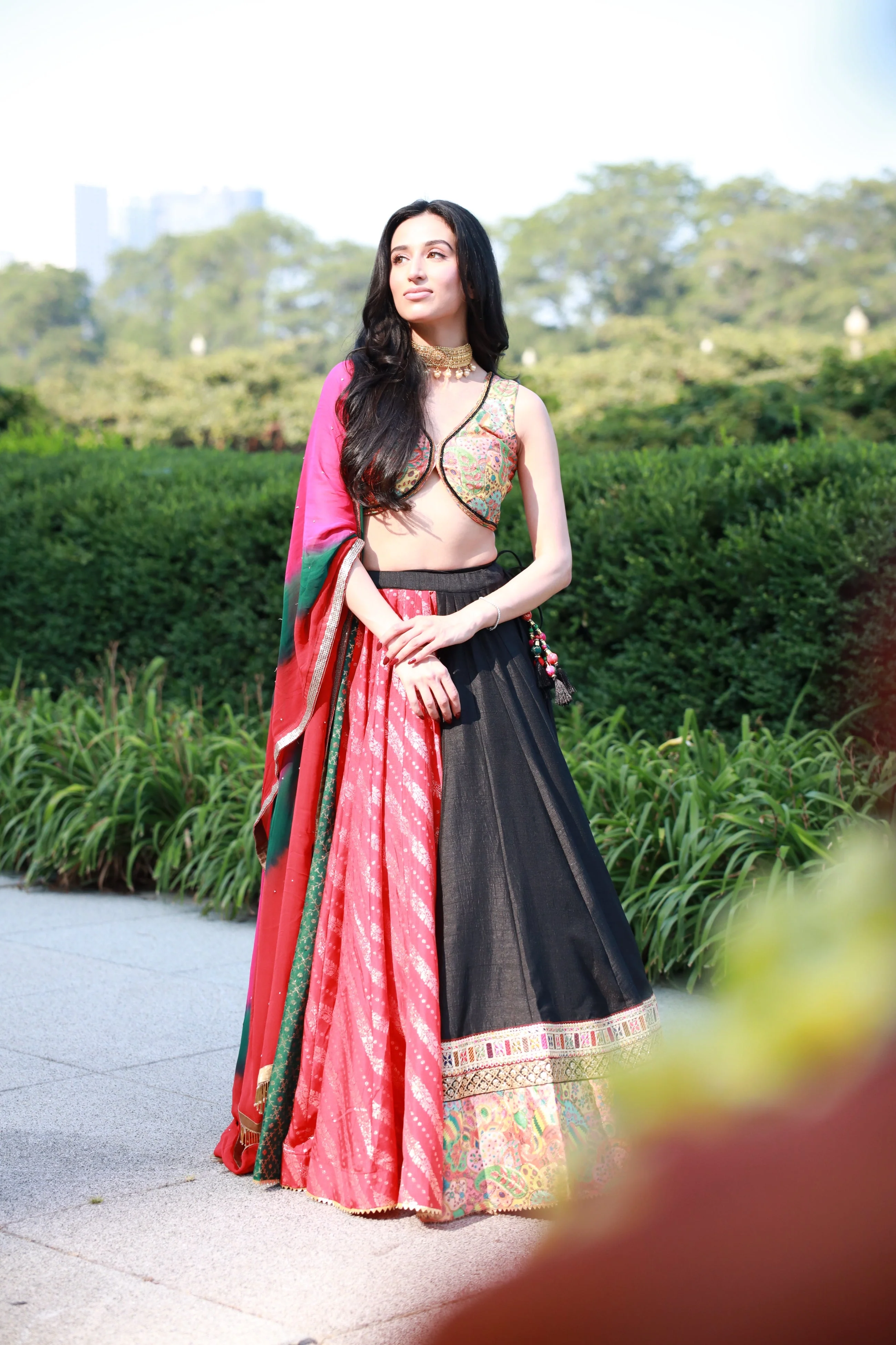 Multi Color Full Flare Chaniya Choli Set - Image 4