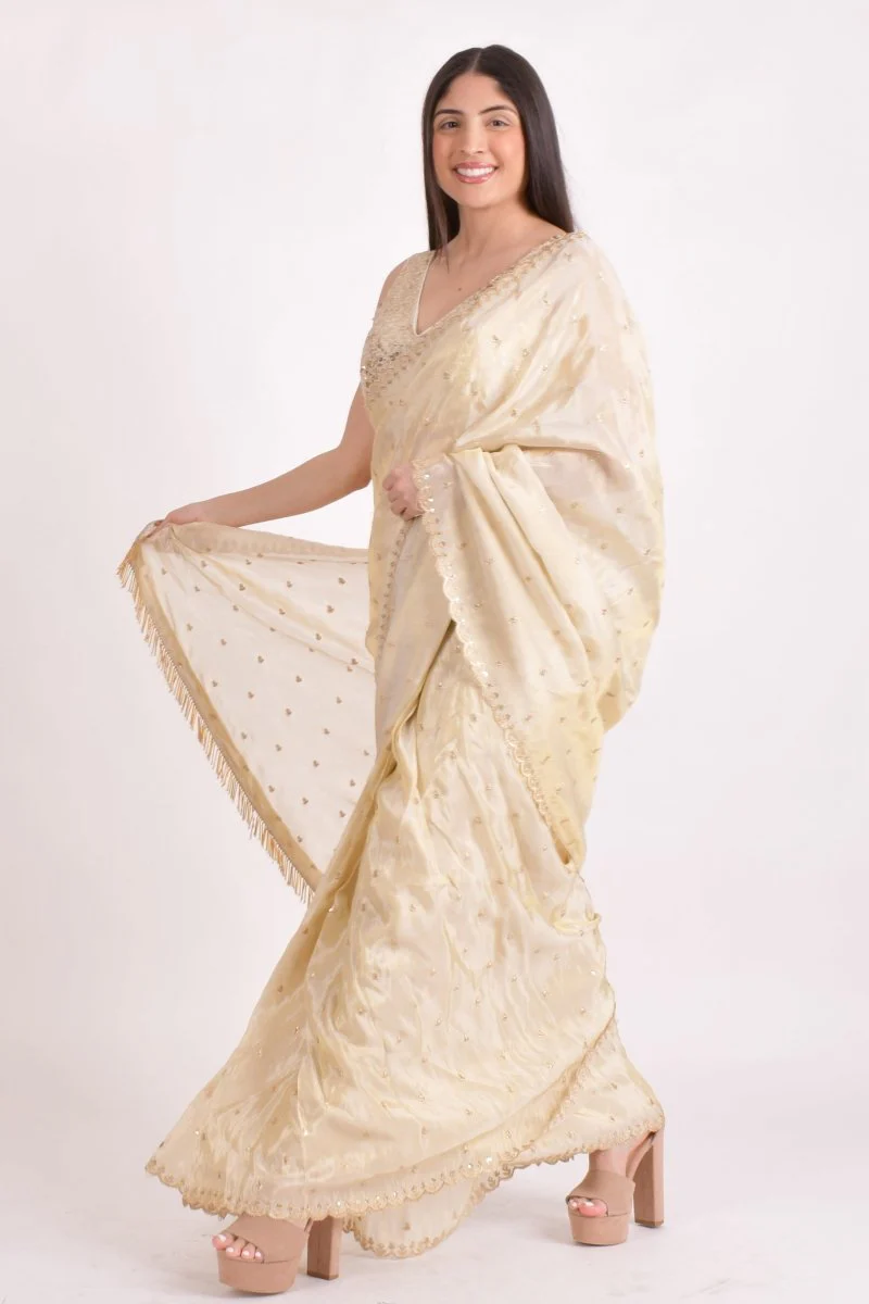 Beige Silk Pre-Pleated Embroidered Saree - Image 5