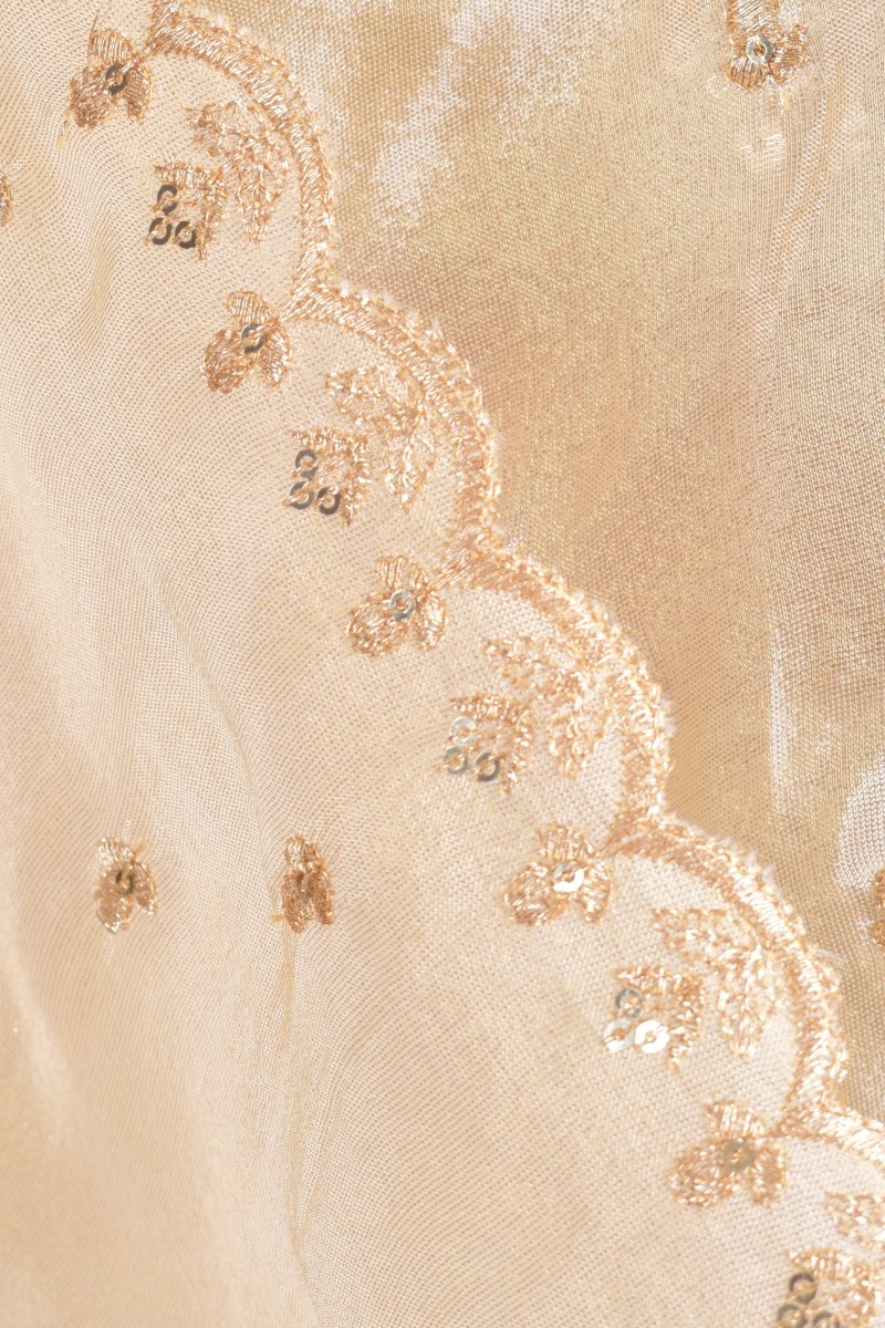 Beige Silk Pre-Pleated Embroidered Saree - Image 6