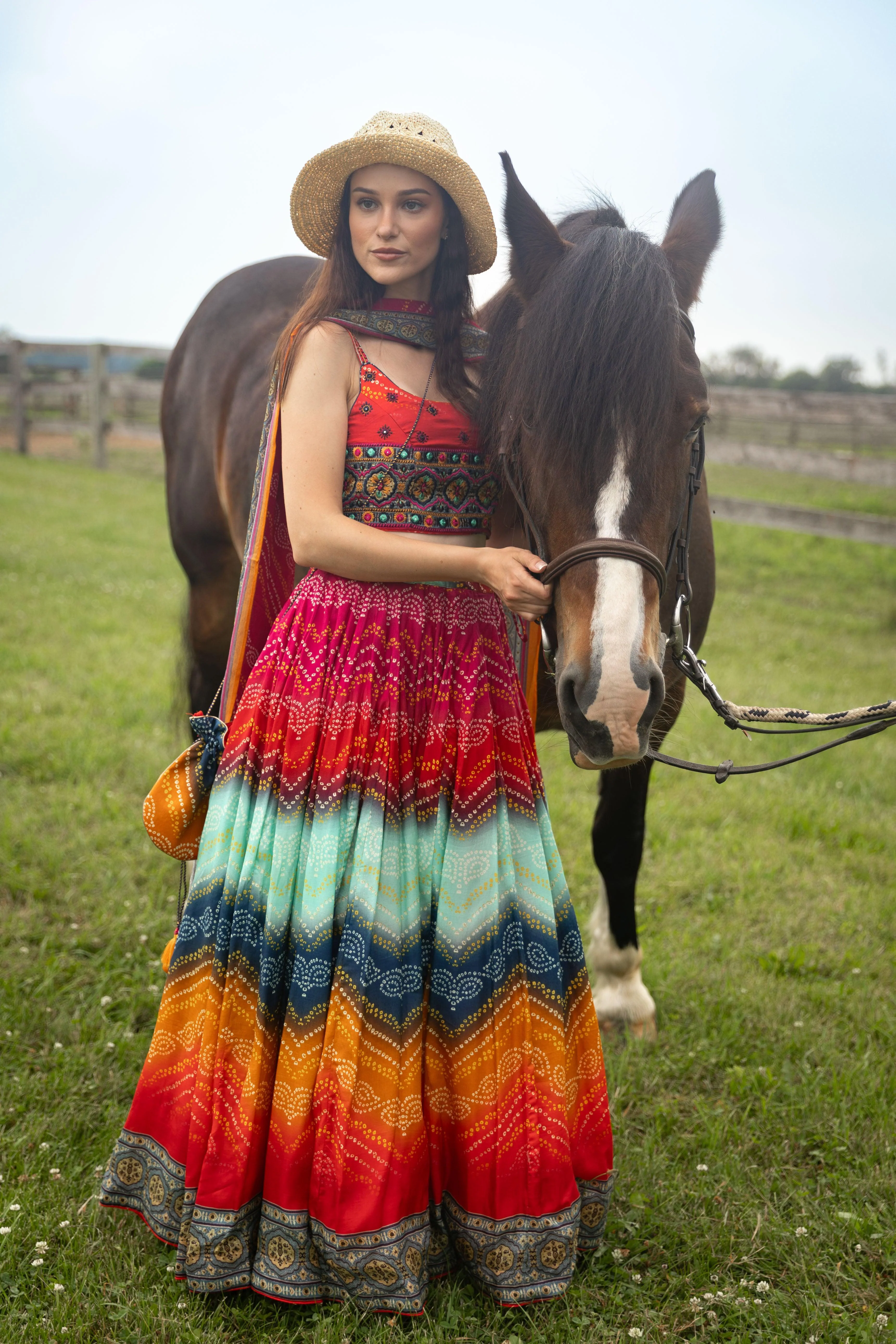 Multicolor Lehenga Choli Set Perfect for Weddings and Festivals - Image 4
