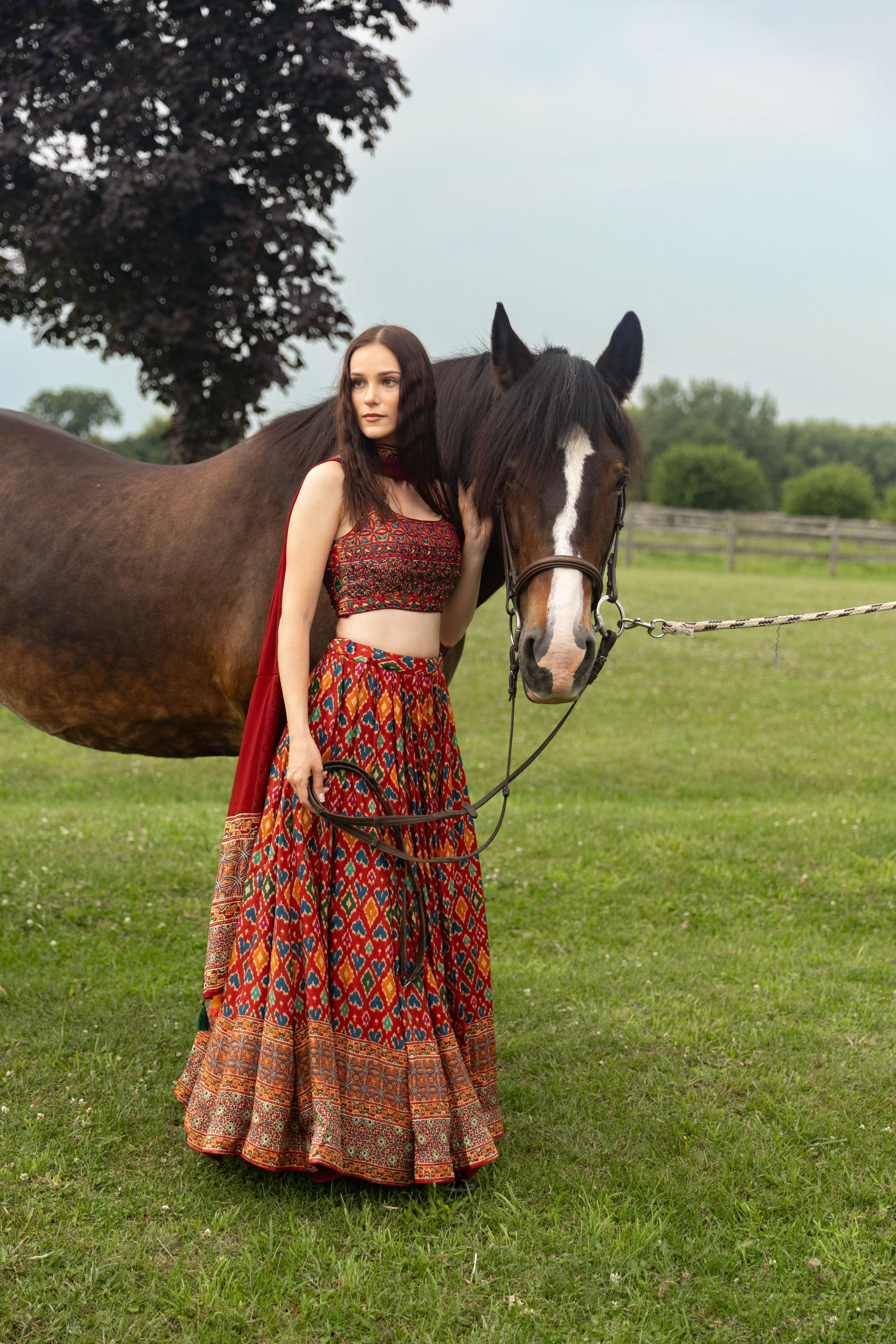 Red Patola Print Lehenga Choli Set - Image 5